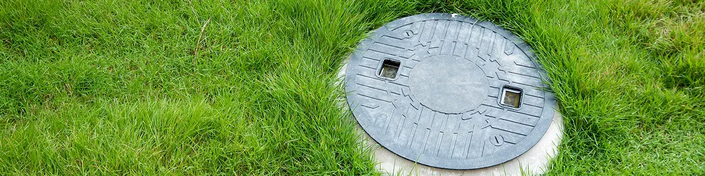 bactéries lactiques_header