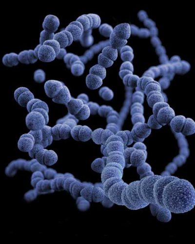 septic-tank-bacteria.jpg septic-tank-bacteria.jpg